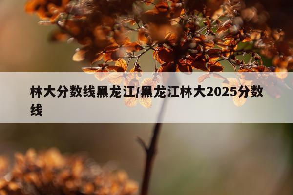 林大分数线黑龙江/黑龙江林大2025分数线