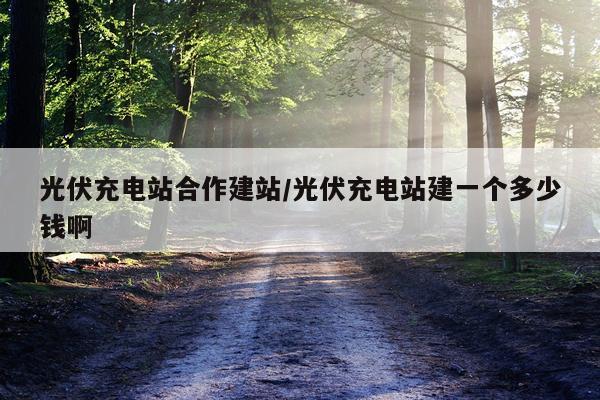 光伏充电站合作建站/光伏充电站建一个多少钱啊
