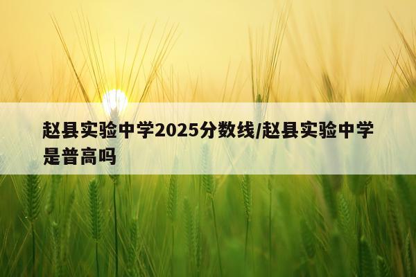 赵县实验中学2025分数线/赵县实验中学是普高吗