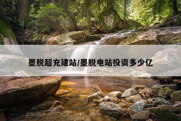 墨脱超充建站/墨脱电站投资多少亿
