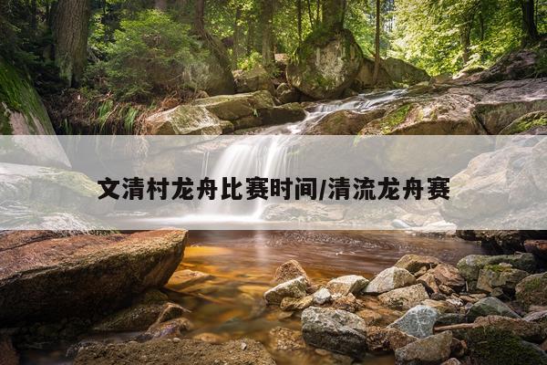 文清村龙舟比赛时间/清流龙舟赛