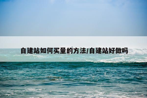 自建站如何买量的方法/自建站好做吗