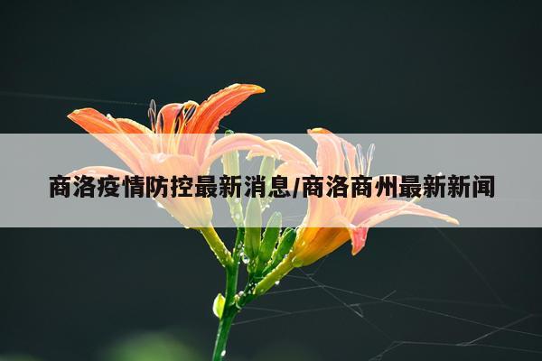 商洛疫情防控最新消息/商洛商州最新新闻