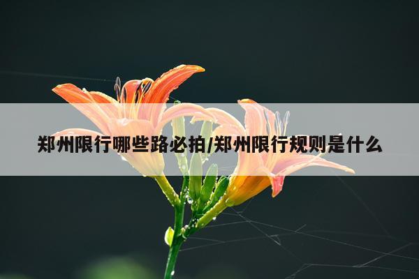 郑州限行哪些路必拍/郑州限行规则是什么