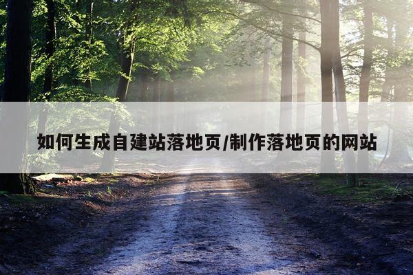 如何生成自建站落地页/制作落地页的网站