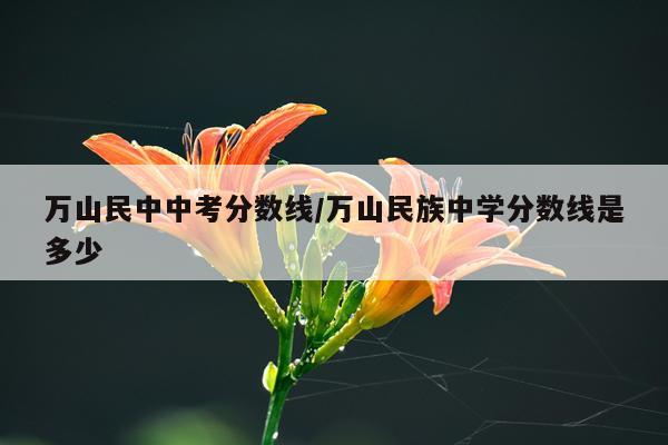 万山民中中考分数线/万山民族中学分数线是多少