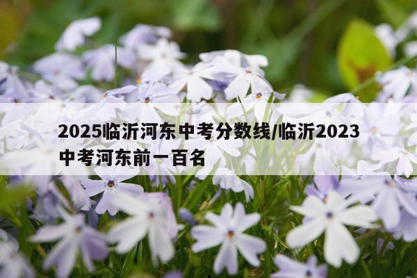 2025临沂河东中考分数线/临沂2023中考河东前一百名