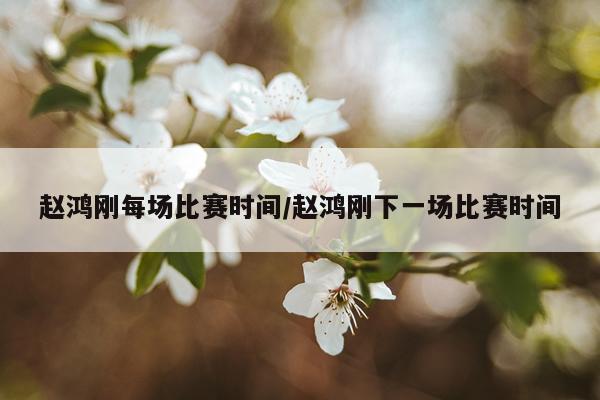 赵鸿刚每场比赛时间/赵鸿刚下一场比赛时间