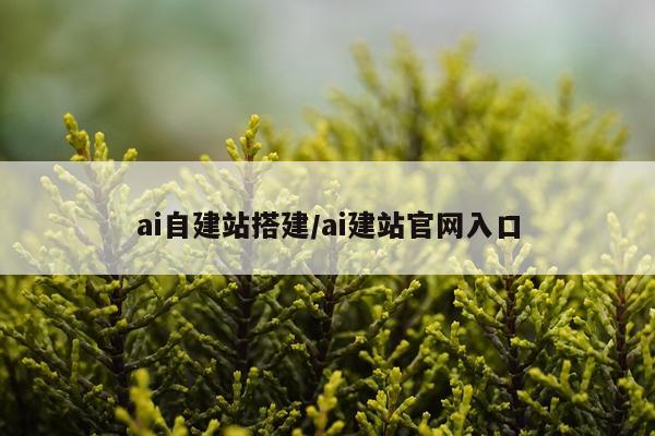 ai自建站搭建/ai建站官网入口