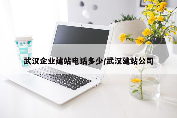 武汉企业建站电话多少/武汉建站公司