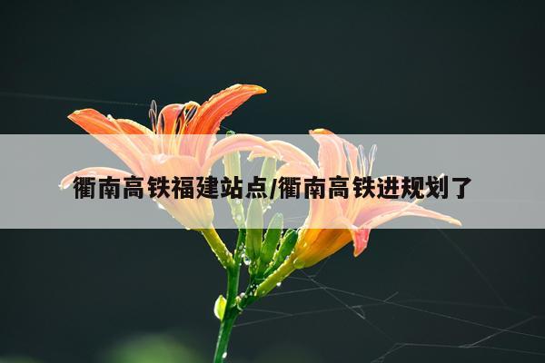 衢南高铁福建站点/衢南高铁进规划了