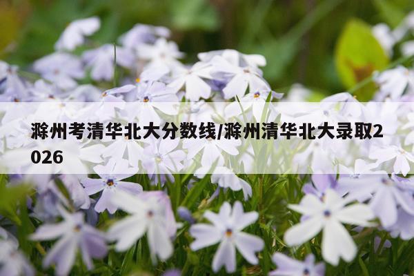 滁州考清华北大分数线/滁州清华北大录取2026