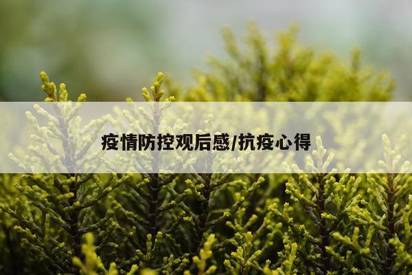 疫情防控观后感/抗疫心得