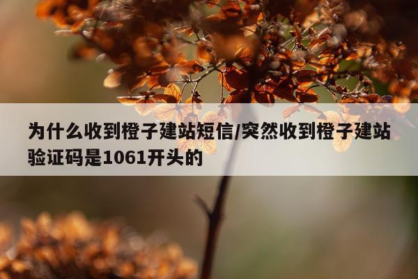为什么收到橙子建站短信/突然收到橙子建站验证码是1061开头的