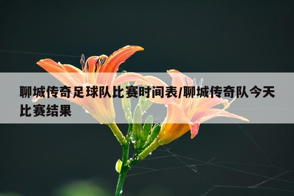 聊城传奇足球队比赛时间表/聊城传奇队今天比赛结果