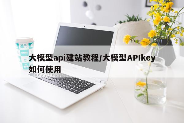 大模型api建站教程/大模型APIkey如何使用