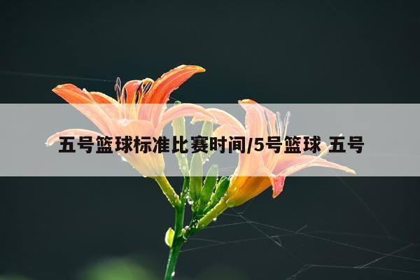 五号篮球标准比赛时间/5号篮球 五号
