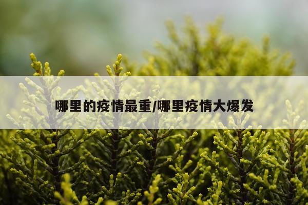 哪里的疫情最重/哪里疫情大爆发
