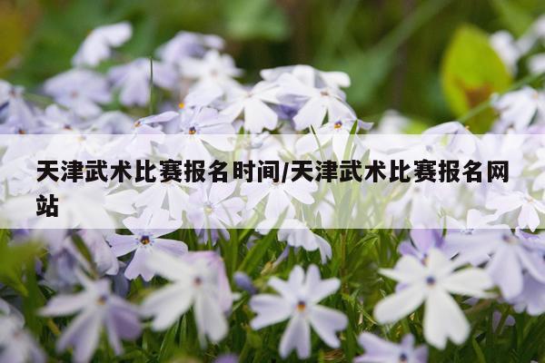天津武术比赛报名时间/天津武术比赛报名网站