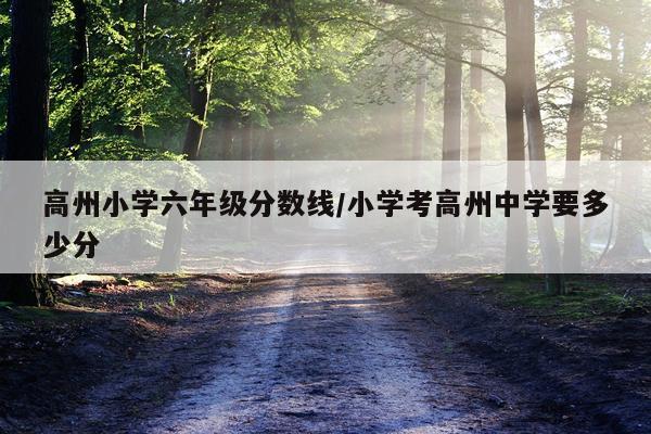 高州小学六年级分数线/小学考高州中学要多少分