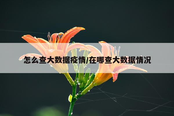 怎么查大数据疫情/在哪查大数据情况