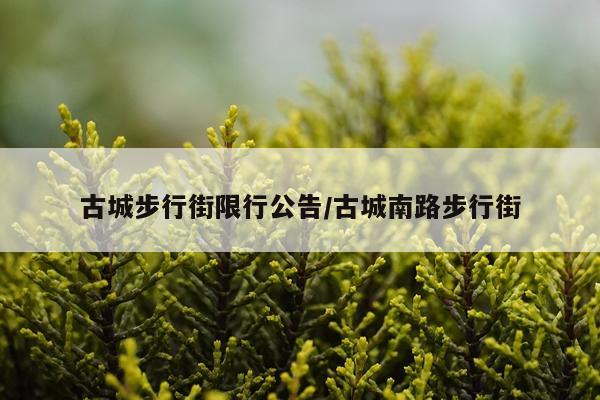 古城步行街限行公告/古城南路步行街