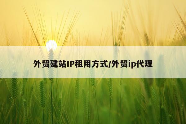 外贸建站IP租用方式/外贸ip代理