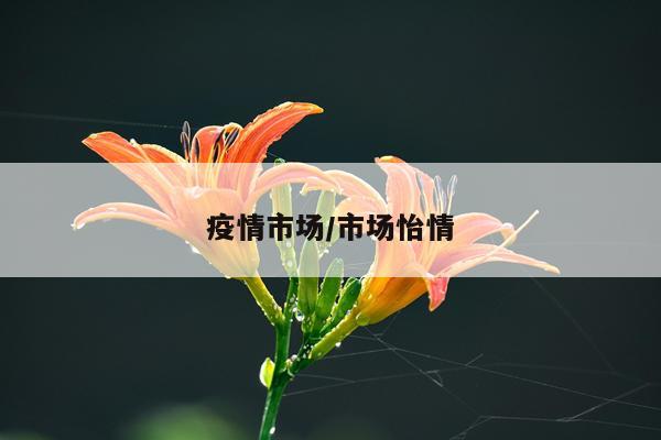 疫情市场/市场怡情