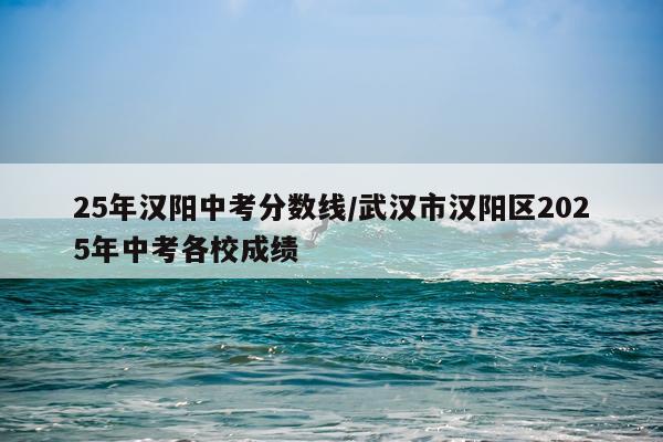 25年汉阳中考分数线/武汉市汉阳区2025年中考各校成绩