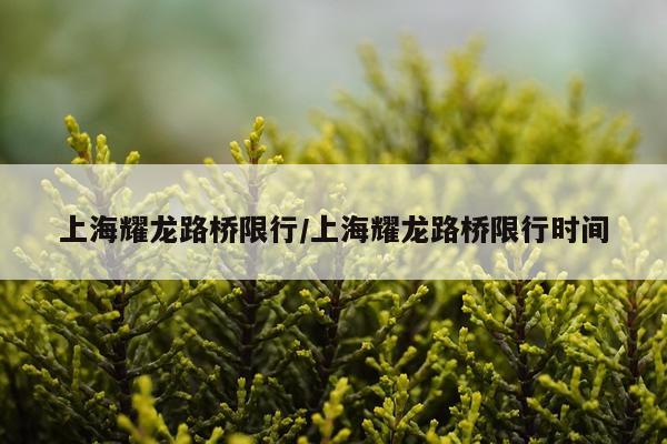 上海耀龙路桥限行/上海耀龙路桥限行时间