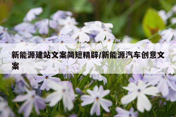 新能源建站文案简短精辟/新能源汽车创意文案