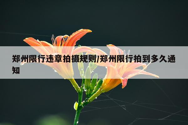 郑州限行违章拍摄规则/郑州限行拍到多久通知