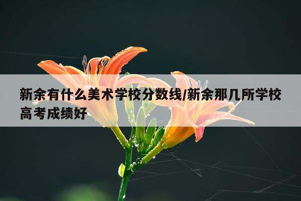 新余有什么美术学校分数线/新余那几所学校高考成绩好