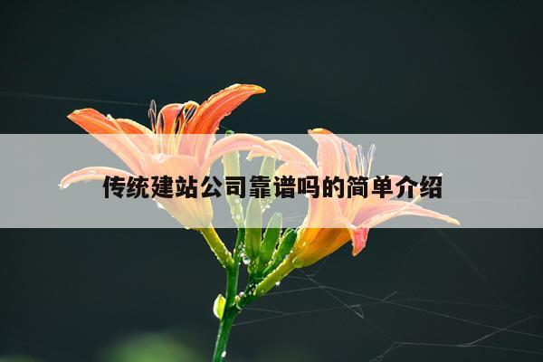 传统建站公司靠谱吗的简单介绍