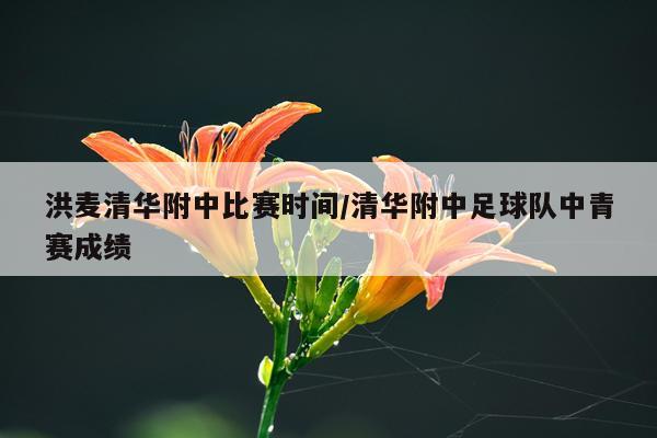 洪麦清华附中比赛时间/清华附中足球队中青赛成绩