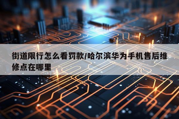 街道限行怎么看罚款/哈尔滨华为手机售后维修点在哪里