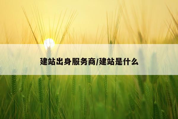 建站出身服务商/建站是什么