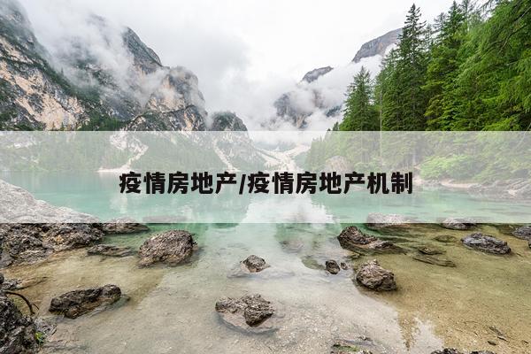 疫情房地产/疫情房地产机制