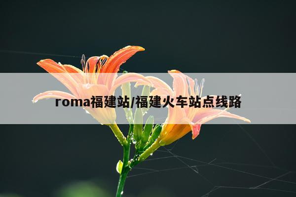 roma福建站/福建火车站点线路