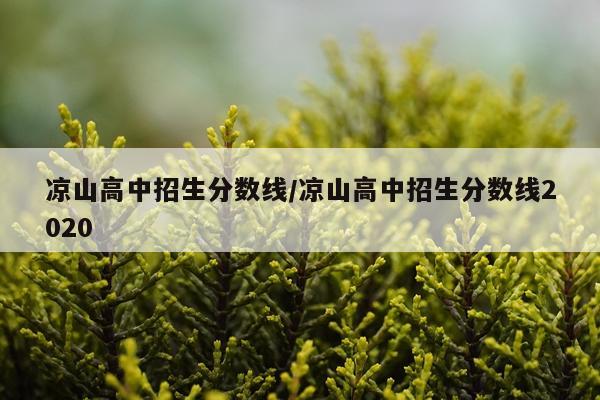 凉山高中招生分数线/凉山高中招生分数线2020