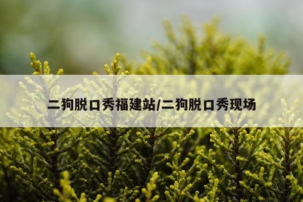 二狗脱口秀福建站/二狗脱口秀现场