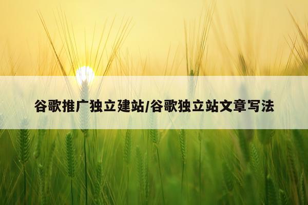 谷歌推广独立建站/谷歌独立站文章写法