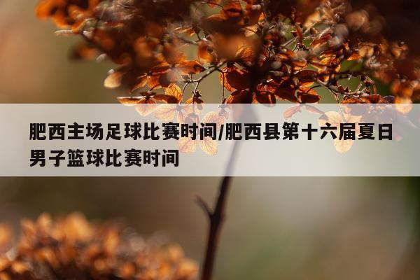 肥西主场足球比赛时间/肥西县第十六届夏日男子篮球比赛时间