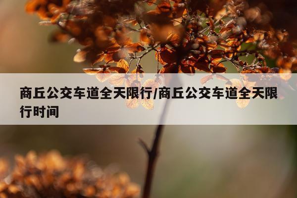 商丘公交车道全天限行/商丘公交车道全天限行时间