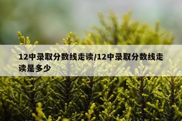 12中录取分数线走读/12中录取分数线走读是多少