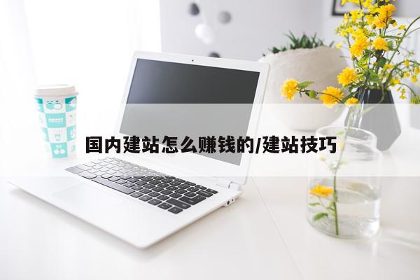 国内建站怎么赚钱的/建站技巧
