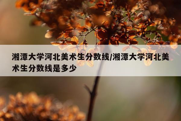 湘潭大学河北美术生分数线/湘潭大学河北美术生分数线是多少