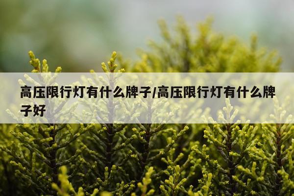 高压限行灯有什么牌子/高压限行灯有什么牌子好