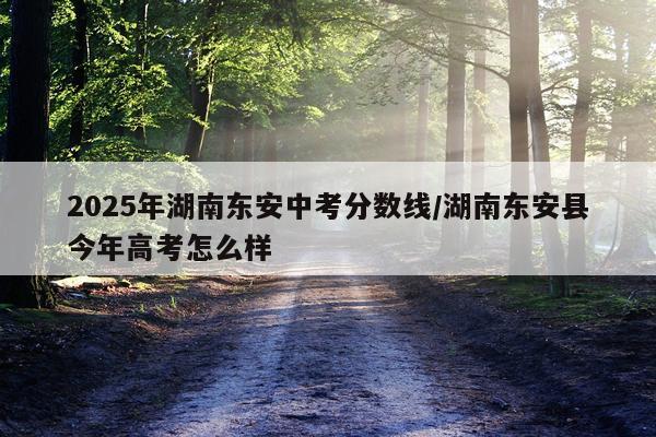 2025年湖南东安中考分数线/湖南东安县今年高考怎么样