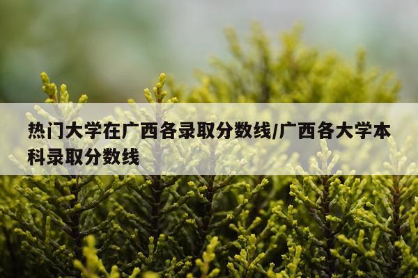 热门大学在广西各录取分数线/广西各大学本科录取分数线